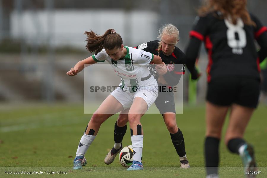 sport, action, Stadion am Brentanobad, SGE, Fussball, Frankfurt, Eintracht Frankfurt II, DFB, Borussia Mönchengladbach, BMG, 2. Frauen-Bundesliga, 15.12.2024 - Bild-ID: 2459591 sport, action, Stadion am Brentanobad, SGE, Fussball, Frankfurt, Eintracht Frankfurt II, DFB, Borussia Mönchengladbach, BMG, 2. Frauen-Bundesliga, 15.12.2024 - Bild-ID: 2459591