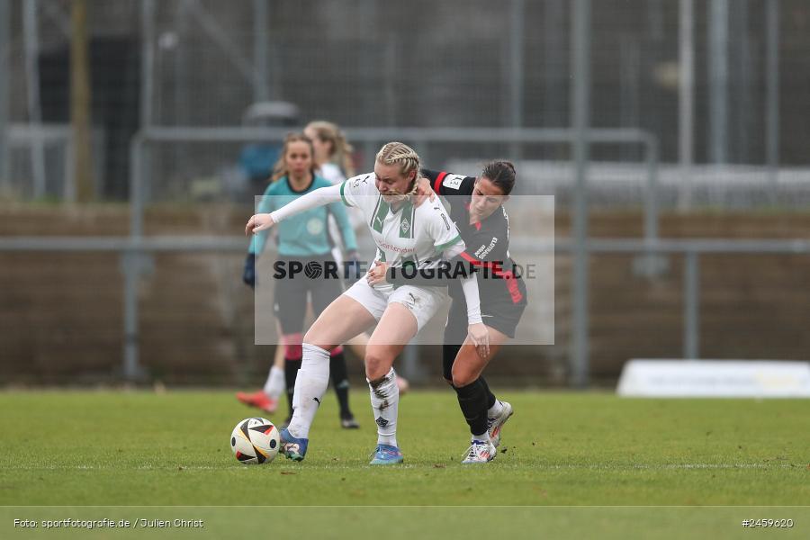 sport, action, Stadion am Brentanobad, SGE, Fussball, Frankfurt, Eintracht Frankfurt II, DFB, Borussia Mönchengladbach, BMG, 2. Frauen-Bundesliga, 15.12.2024 - Bild-ID: 2459620 sport, action, Stadion am Brentanobad, SGE, Fussball, Frankfurt, Eintracht Frankfurt II, DFB, Borussia Mönchengladbach, BMG, 2. Frauen-Bundesliga, 15.12.2024 - Bild-ID: 2459620