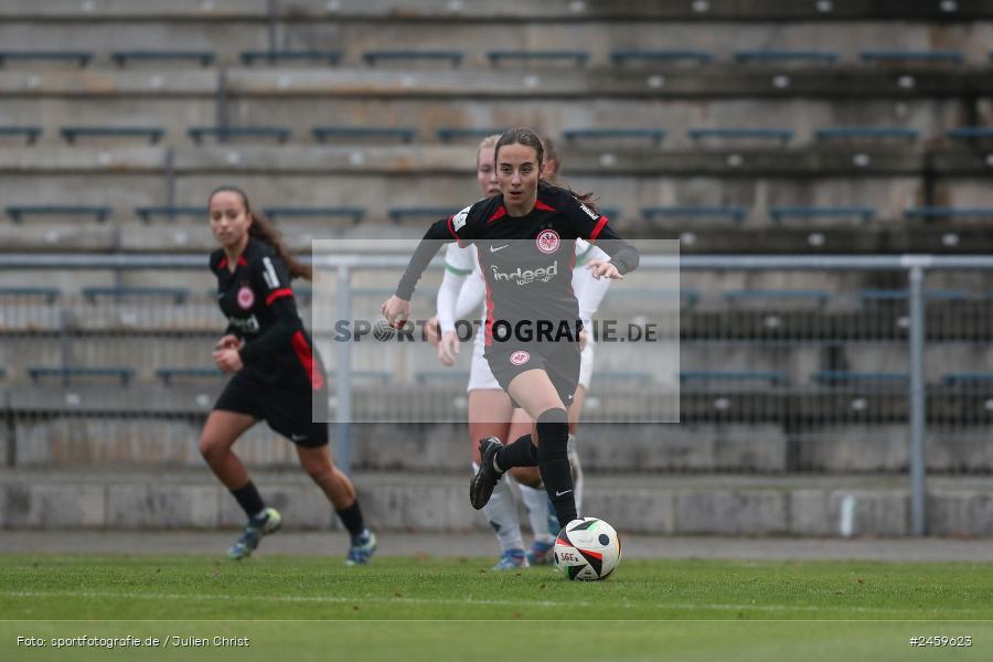 sport, action, Stadion am Brentanobad, SGE, Fussball, Frankfurt, Eintracht Frankfurt II, DFB, Borussia Mönchengladbach, BMG, 2. Frauen-Bundesliga, 15.12.2024 - Bild-ID: 2459623