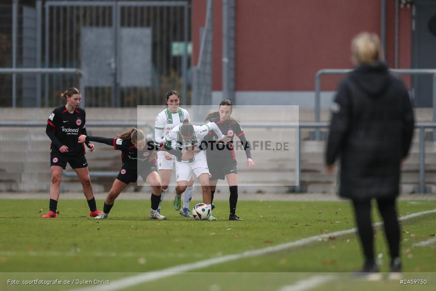 sport, action, Stadion am Brentanobad, SGE, Fussball, Frankfurt, Eintracht Frankfurt II, DFB, Borussia Mönchengladbach, BMG, 2. Frauen-Bundesliga, 15.12.2024 - Bild-ID: 2459730