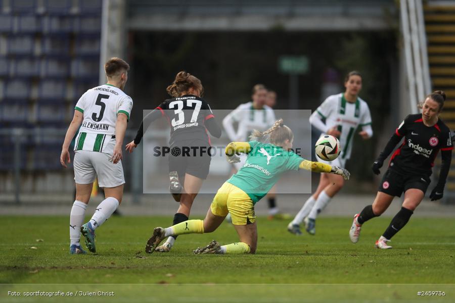 sport, action, Stadion am Brentanobad, SGE, Fussball, Frankfurt, Eintracht Frankfurt II, DFB, Borussia Mönchengladbach, BMG, 2. Frauen-Bundesliga, 15.12.2024 - Bild-ID: 2459736 sport, action, Stadion am Brentanobad, SGE, Fussball, Frankfurt, Eintracht Frankfurt II, DFB, Borussia Mönchengladbach, BMG, 2. Frauen-Bundesliga, 15.12.2024 - Bild-ID: 2459736