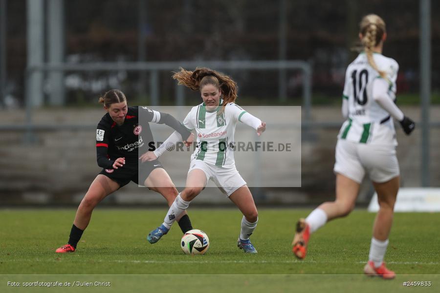 sport, action, Stadion am Brentanobad, SGE, Fussball, Frankfurt, Eintracht Frankfurt II, DFB, Borussia Mönchengladbach, BMG, 2. Frauen-Bundesliga, 15.12.2024 - Bild-ID: 2459833 sport, action, Stadion am Brentanobad, SGE, Fussball, Frankfurt, Eintracht Frankfurt II, DFB, Borussia Mönchengladbach, BMG, 2. Frauen-Bundesliga, 15.12.2024 - Bild-ID: 2459833