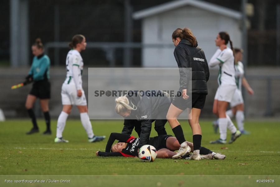 sport, action, Stadion am Brentanobad, SGE, Fussball, Frankfurt, Eintracht Frankfurt II, DFB, Borussia Mönchengladbach, BMG, 2. Frauen-Bundesliga, 15.12.2024 - Bild-ID: 2459878 sport, action, Stadion am Brentanobad, SGE, Fussball, Frankfurt, Eintracht Frankfurt II, DFB, Borussia Mönchengladbach, BMG, 2. Frauen-Bundesliga, 15.12.2024 - Bild-ID: 2459878