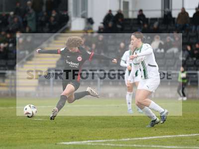Bild-ID: 2459225