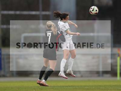 Bild-ID: 2459231