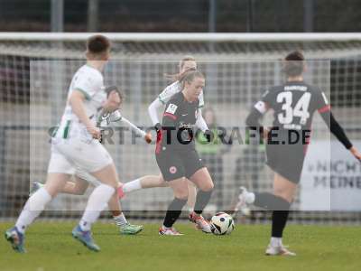 Bild-ID: 2459235