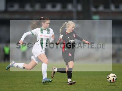 Bild-ID: 2459238