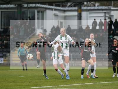 Bild-ID: 2459263