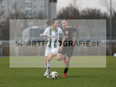 Bild-ID: 2459283