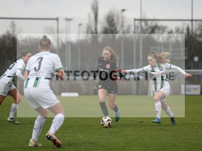 Bild-ID: 2459285