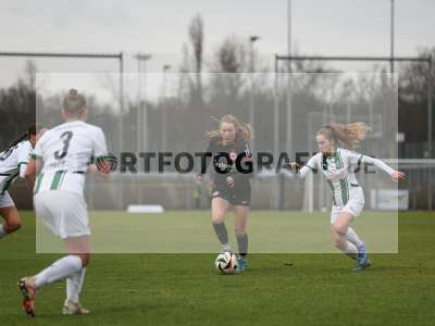 Bild-ID: 2459286