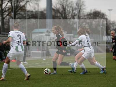 Bild-ID: 2459288