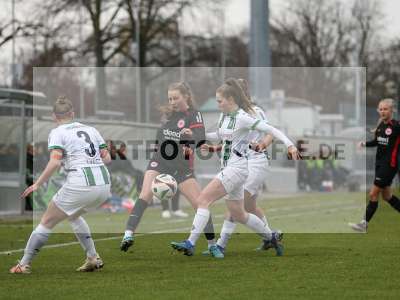 Bild-ID: 2459289