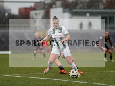 Bild-ID: 2459302