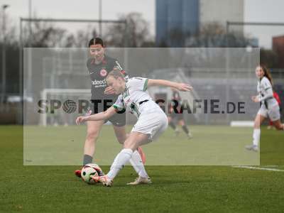 Bild-ID: 2459304