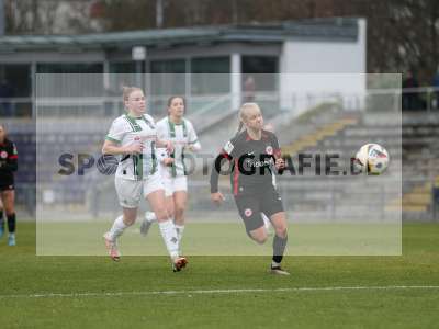 Bild-ID: 2459306