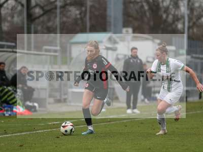 Bild-ID: 2459311