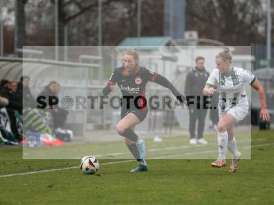 Bild-ID: 2459312
