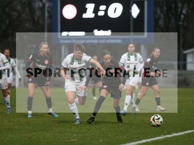 Bild-ID: 2459323