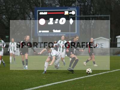 Bild-ID: 2459325