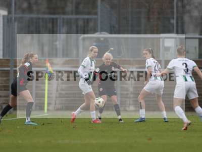 Bild-ID: 2459335