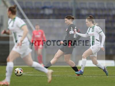 Bild-ID: 2459339