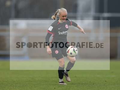 Bild-ID: 2459340