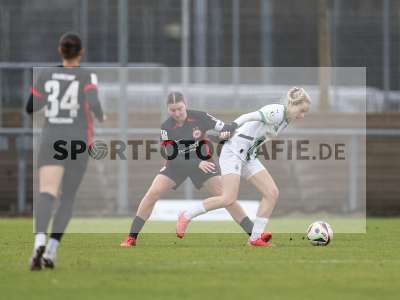 Bild-ID: 2459343