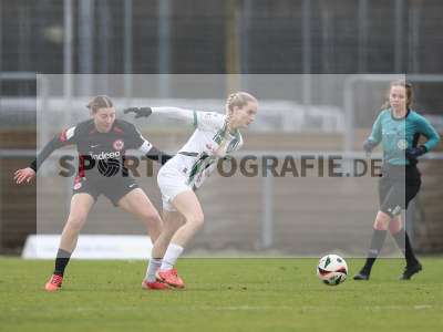 Bild-ID: 2459345