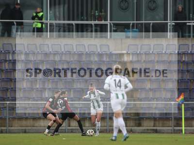 Bild-ID: 2459346