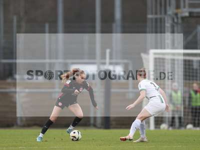 Bild-ID: 2459349