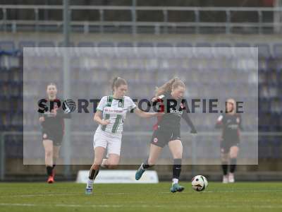 Bild-ID: 2459353