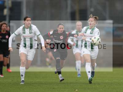 Bild-ID: 2459368