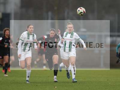 Bild-ID: 2459370