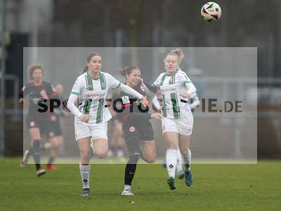 Bild-ID: 2459371