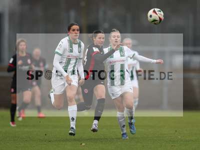 Bild-ID: 2459372