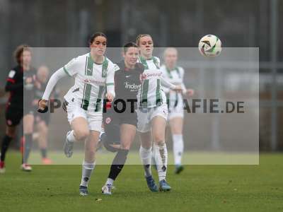 Bild-ID: 2459373