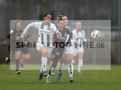 Bild-ID: 2459374