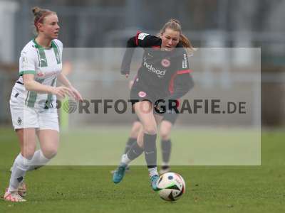 Bild-ID: 2459381