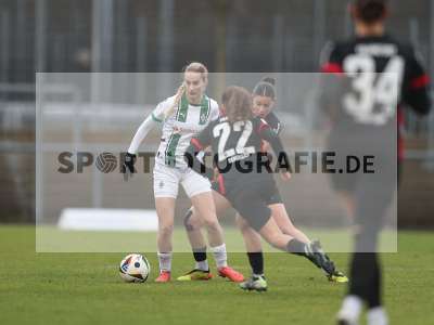 Bild-ID: 2459385