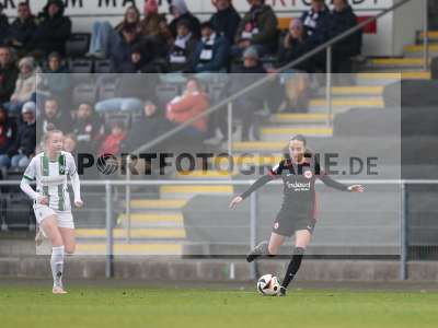 Bild-ID: 2459393