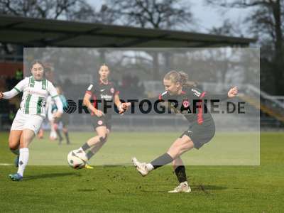 Bild-ID: 2459399