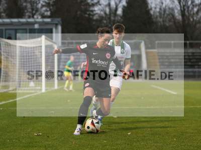 Bild-ID: 2459401