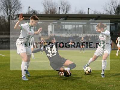 Bild-ID: 2459402
