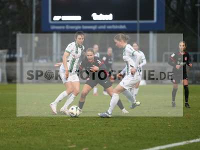 Bild-ID: 2459404