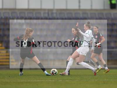 Bild-ID: 2459432