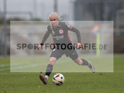 Bild-ID: 2459438