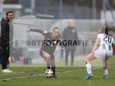Bild-ID: 2459451