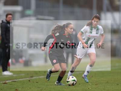 Bild-ID: 2459458