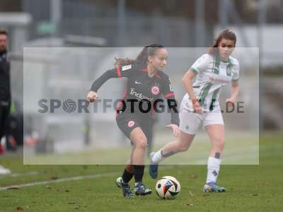 Bild-ID: 2459460